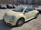 2006 Volkswagen New Beetle Convertible Option Package 1