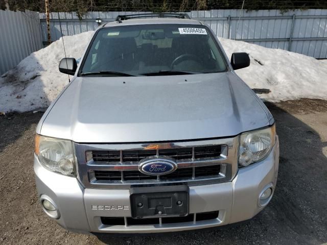 2011 Ford Escape XLT