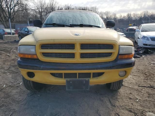 1999 Dodge Dakota