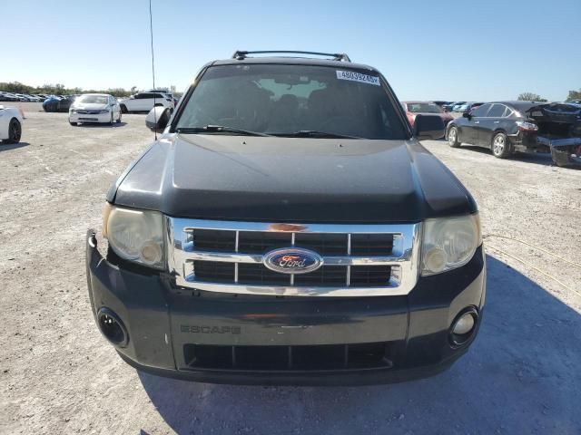 2010 Ford Escape XLT