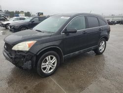 Salvage cars for sale at Harleyville, SC auction: 2010 Honda CR-V EXL