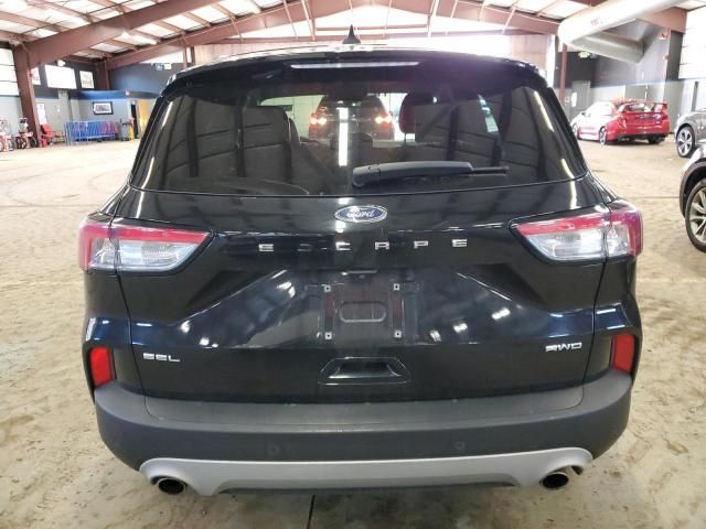 2021 Ford Escape SEL