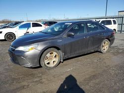 Salvage cars for sale at auction: 2015 Toyota Camry Hybrid