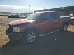 Salvage cars for sale at Colorado Springs, CO auction: 2007 Dodge Dakota Quattro