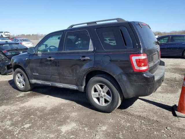 2008 Ford Escape HEV