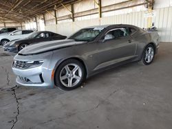 Salvage cars for sale at Phoenix, AZ auction: 2023 Chevrolet Camaro LS