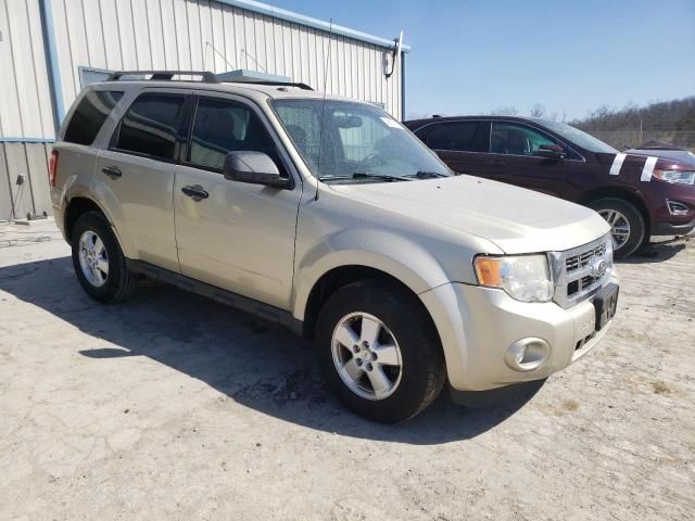 2011 Ford Escape XLT