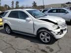 2010 Mercedes-Benz ML 350 Bluetec