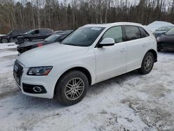 Audi q5 Prestige salvage cars for sale: 2012 Audi Q5 Prestige