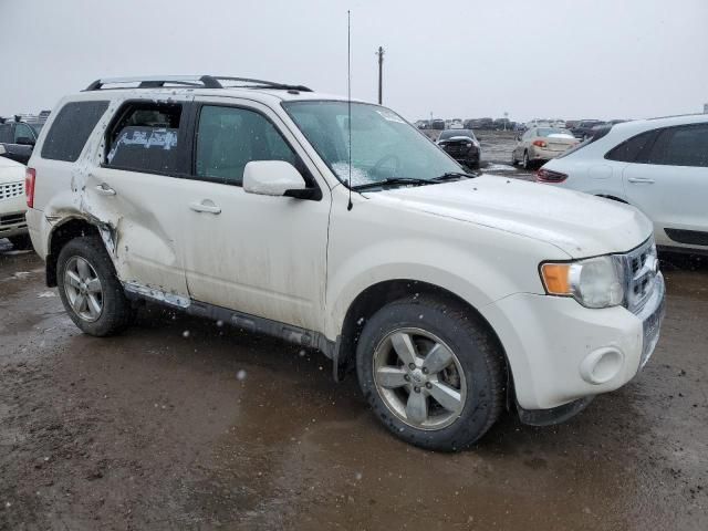 2010 Ford Escape Limited