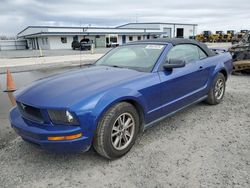 Salvage cars for sale at Lumberton, NC auction: 2005 Ford Mustang