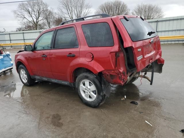 2010 Ford Escape XLT