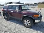 2007 Toyota FJ Cruiser