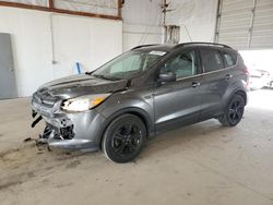 Salvage cars for sale at Lexington, KY auction: 2016 Ford Escape SE