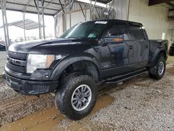 Salvage cars for sale at Austell, GA auction: 2011 Ford F150 SVT Raptor