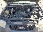 2007 Ford Escape XLT