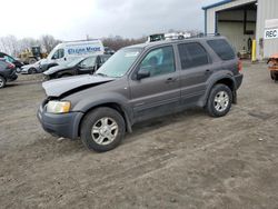 Salvage cars for sale at Duryea, PA auction: 2002 Ford Escape XLT