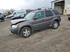 2002 Ford Escape XLT