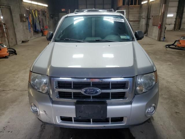 2009 Ford Escape XLT