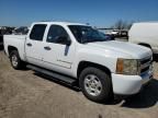 2009 Chevrolet Silverado C1500