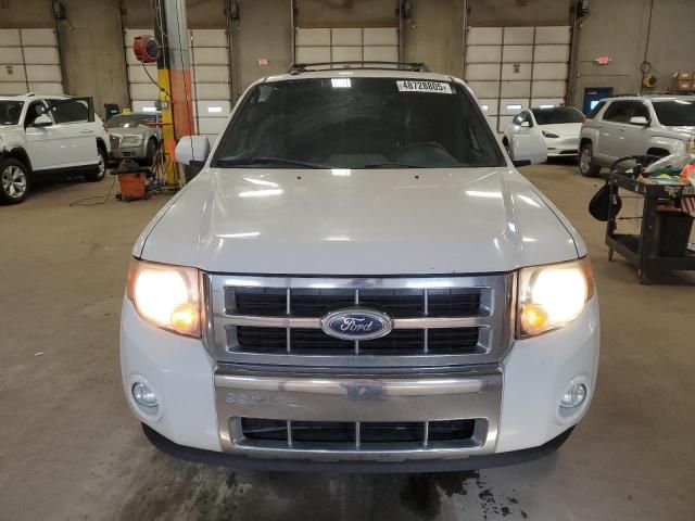 2010 Ford Escape Limited