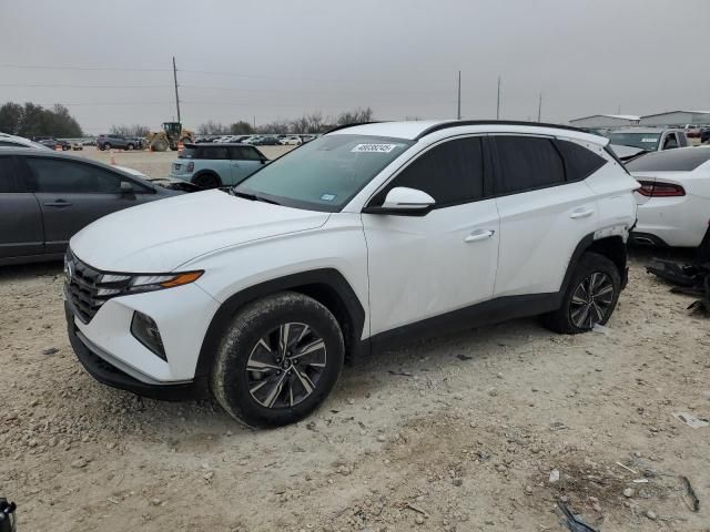 2022 Hyundai Tucson Blue