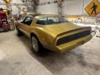 1979 Pontiac Trans AM