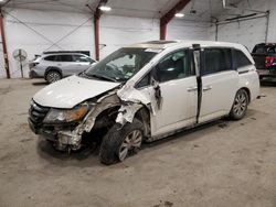 Salvage cars for sale at Center Rutland, VT auction: 2014 Honda Odyssey EXL