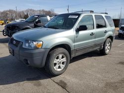 Salvage cars for sale from Copart Ham Lake, MN: 2006 Ford Escape XLT