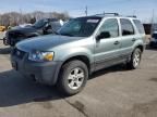 2006 Ford Escape XLT