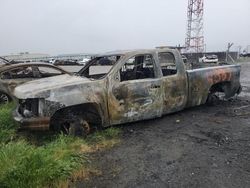 Salvage cars for sale at Bakersfield, CA auction: 2007 Chevrolet Silverado C1500