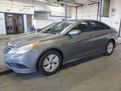 Salvage cars for sale at Pasco, WA auction: 2014 Hyundai Sonata GLS