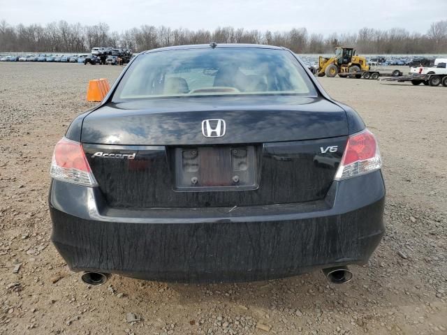 2010 Honda Accord EXL