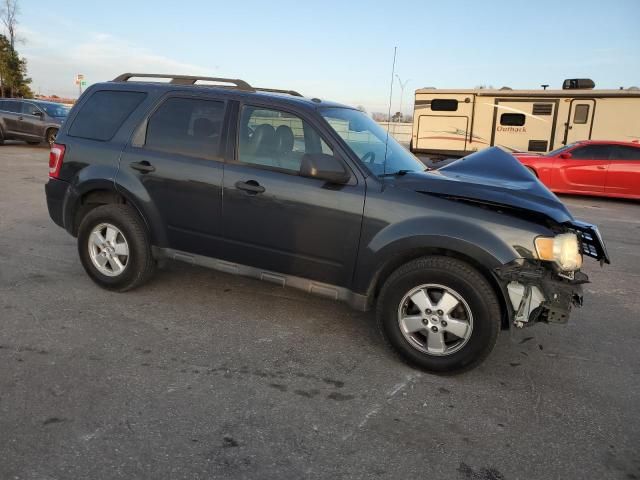 2009 Ford Escape XLT