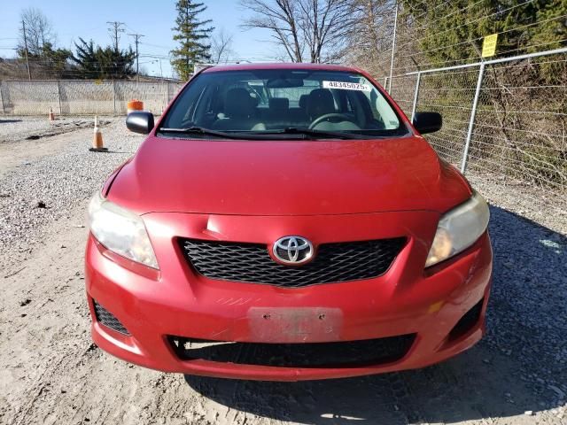 2010 Toyota Corolla Base