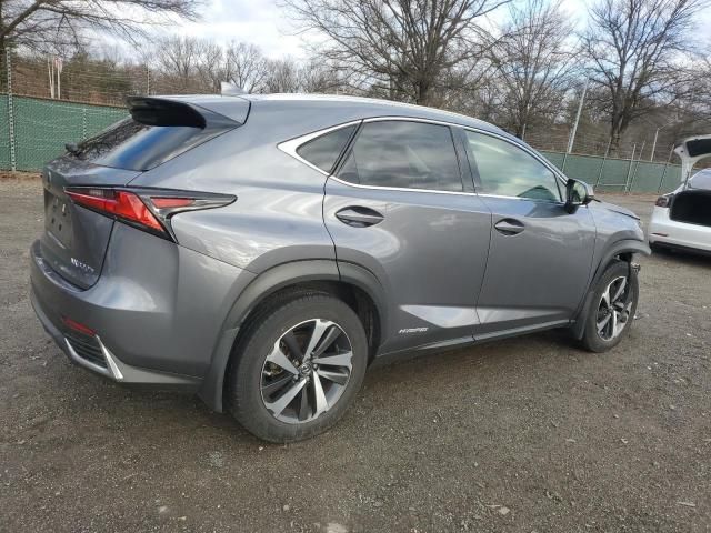 2020 Lexus NX 300H