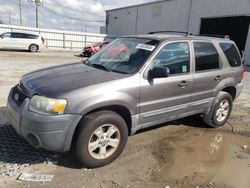 Salvage cars for sale at Jacksonville, FL auction: 2005 Ford Escape XLT