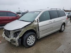 2008 Honda Odyssey EXL en venta en Indianapolis, IN