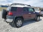 2007 Toyota FJ Cruiser