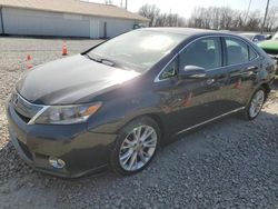 Lexus salvage cars for sale: 2010 Lexus HS 250H