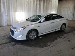 Salvage cars for sale at Albany, NY auction: 2013 Hyundai Sonata Hybrid