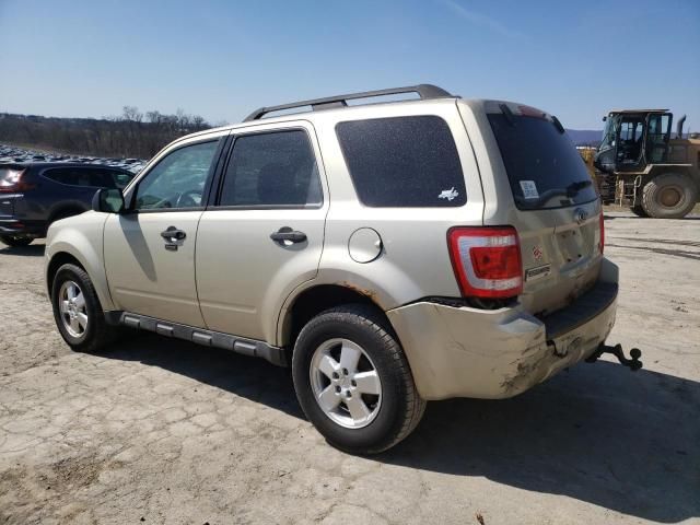 2011 Ford Escape XLT