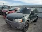 2002 Ford Escape XLT