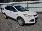 2013 Ford Escape S