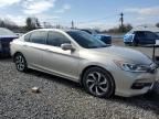 2017 Honda Accord EXL