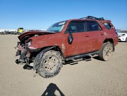 Salvage cars for sale at American Canyon, CA auction: 2024 Toyota 4runner SR5 Premium