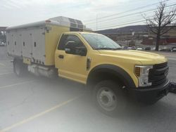 Salvage cars for sale at York Haven, PA auction: 2019 Ford F550 Super Duty