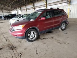 Salvage cars for sale at Phoenix, AZ auction: 2011 Honda CR-V EXL