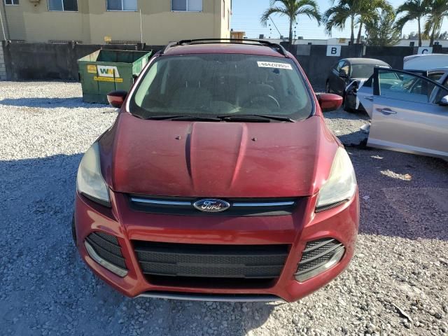 2013 Ford Escape SE