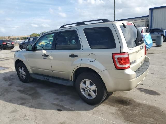 2012 Ford Escape XLT